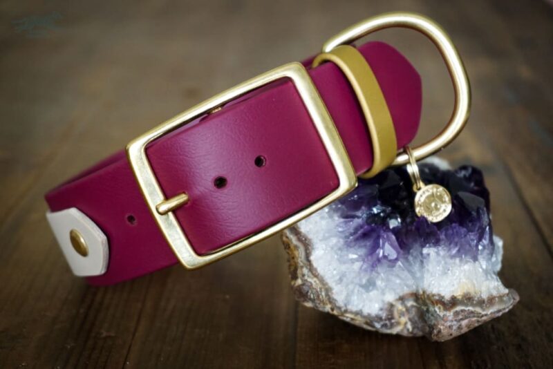 The Sonali - 1.5" Layered Buckle Collar - Image 3