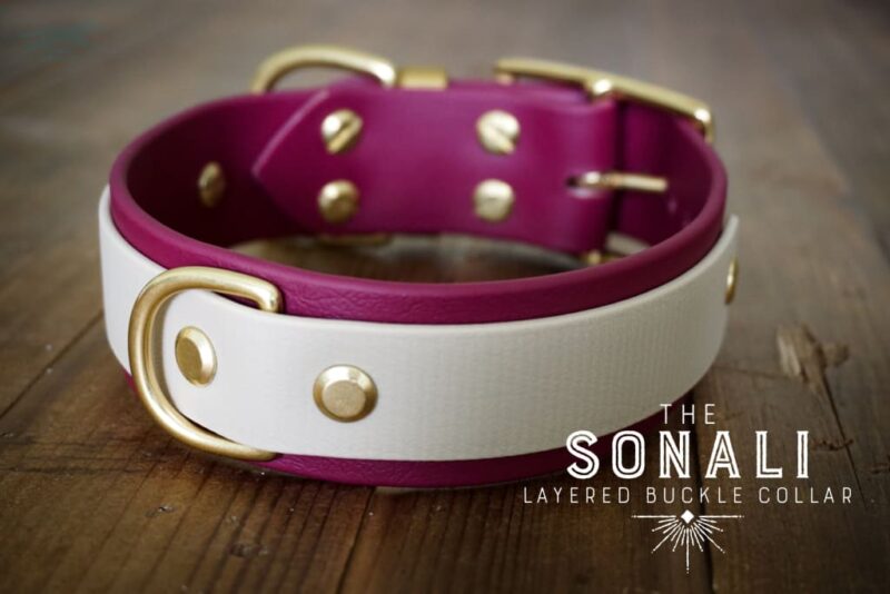 The Sonali - 1.5" Layered Buckle Collar