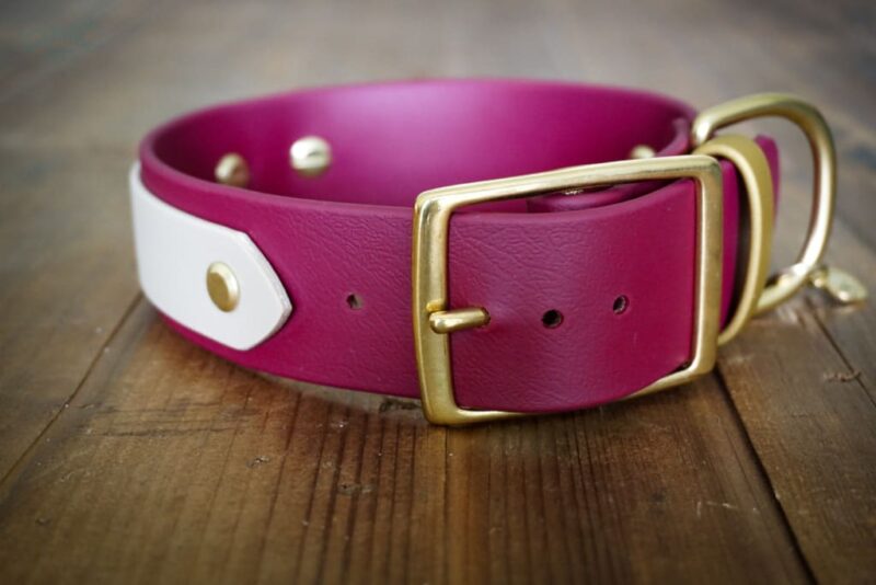 The Sonali - 1.5" Layered Buckle Collar - Image 8