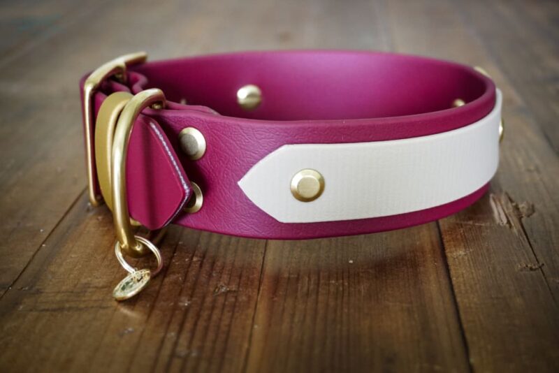 The Sonali - 1.5" Layered Buckle Collar - Image 5
