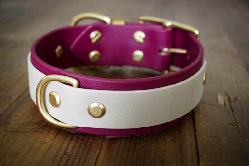 The Sonali - 1.5" Layered Buckle Collar - Image 6