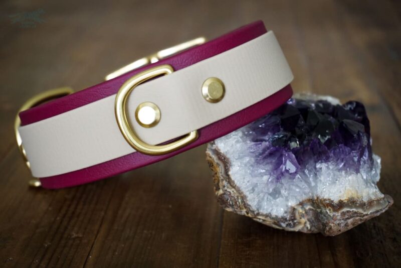 The Sonali - 1.5" Layered Buckle Collar - Image 2