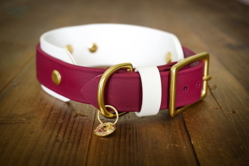 The Taliesin - Layered Buckle Collar - Image 7