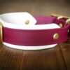 The Taliesin - Layered Buckle Collar - Image 8