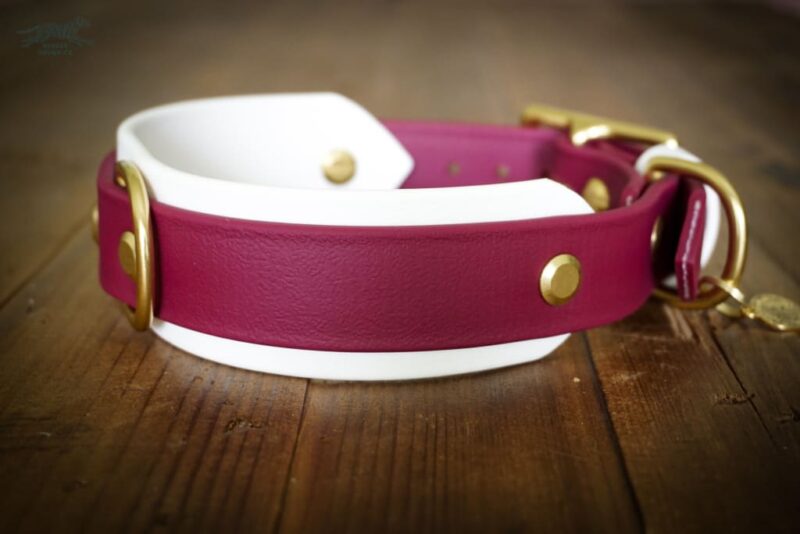 The Taliesin - Layered Buckle Collar - Image 8