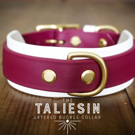 The Taliesin - Layered Buckle Collar