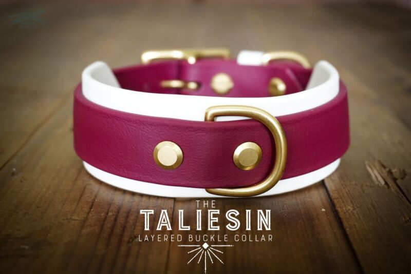 The Taliesin - Layered Buckle Collar