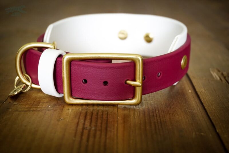 The Taliesin - Layered Buckle Collar - Image 6