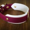 The Taliesin - Layered Buckle Collar - Image 2