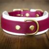 The Taliesin - Layered Buckle Collar - Image 5