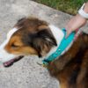 The Taolo, 1.5" Waterproof Quick Control Handle Collar - Image 11