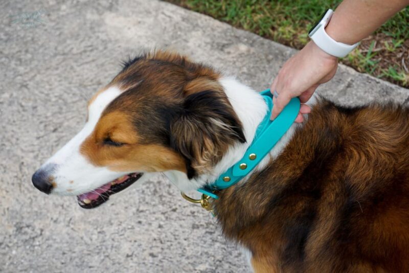 The Taolo, 1.5" Waterproof Quick Control Handle Collar - Image 11