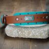 THUNDERBIRD 1.5" Studded Buckle Collar - Image 3
