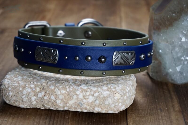 THUNDERBIRD 1.5" Studded Buckle Collar - Image 5