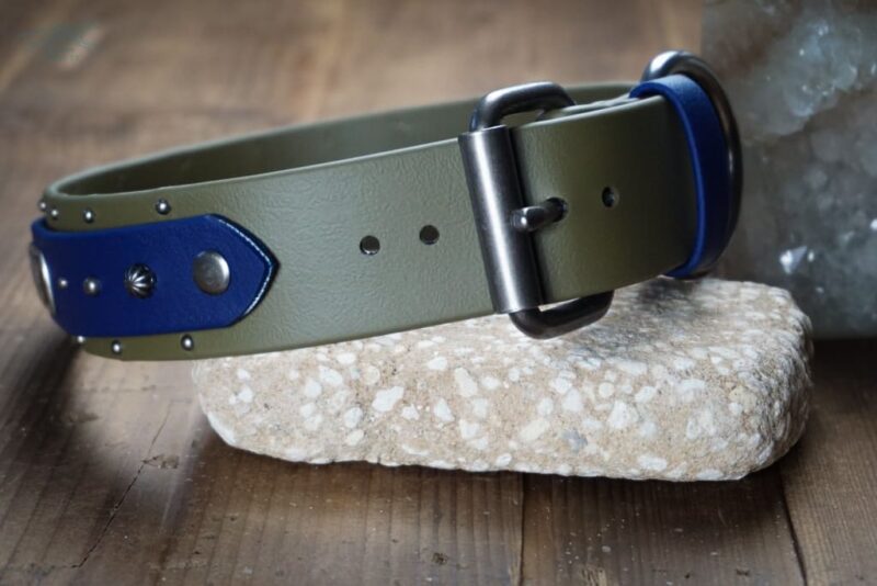 THUNDERBIRD 1.5" Studded Buckle Collar - Image 6