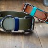 THUNDERBIRD 1.5" Studded Buckle Collar - Image 7