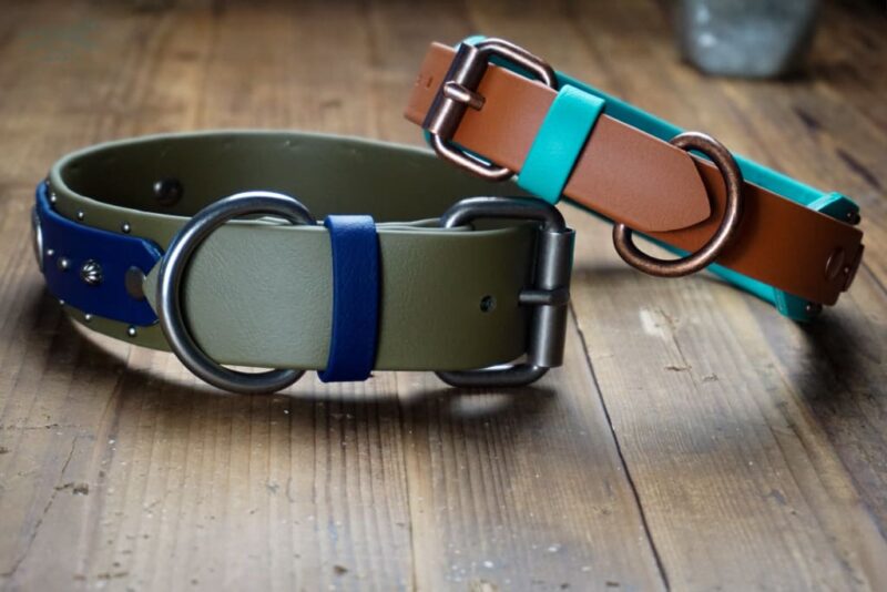 THUNDERBIRD 1.5" Studded Buckle Collar - Image 7