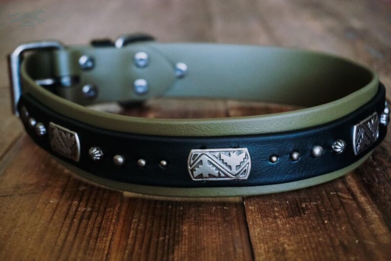 THUNDERBIRD 1.5" Studded Buckle Collar - Image 8