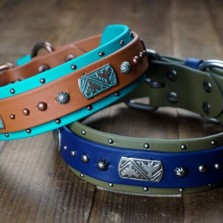THUNDERBIRD 1.5" Studded Buckle Collar