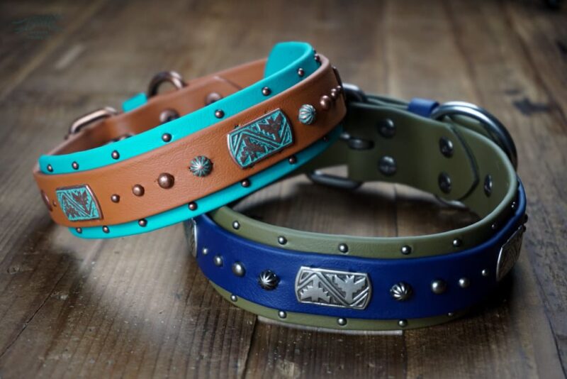 THUNDERBIRD 1.5" Studded Buckle Collar