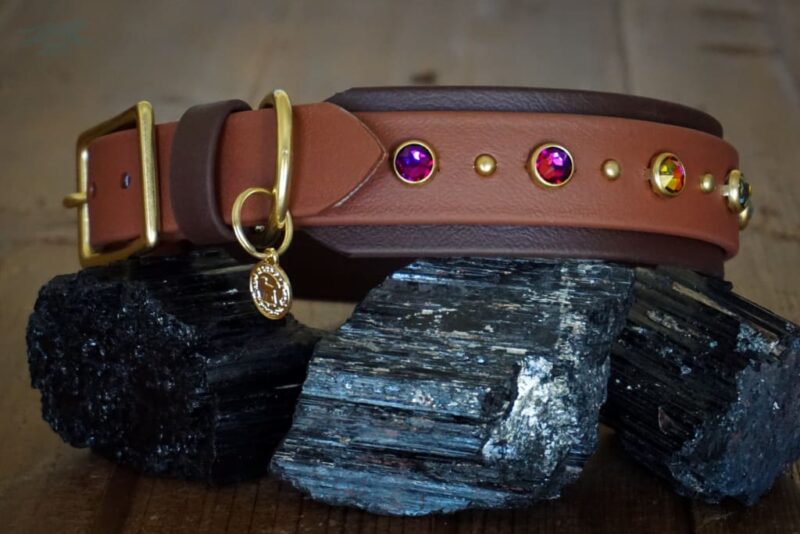 TOFINO 1.5" Crystal Studded Buckle Collar - Image 4