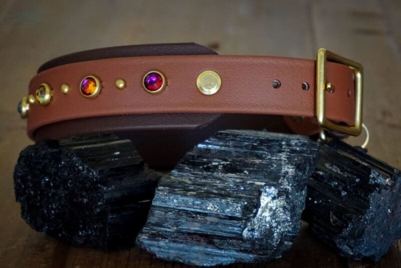 TOFINO 1.5" Crystal Studded Buckle Collar - Image 3