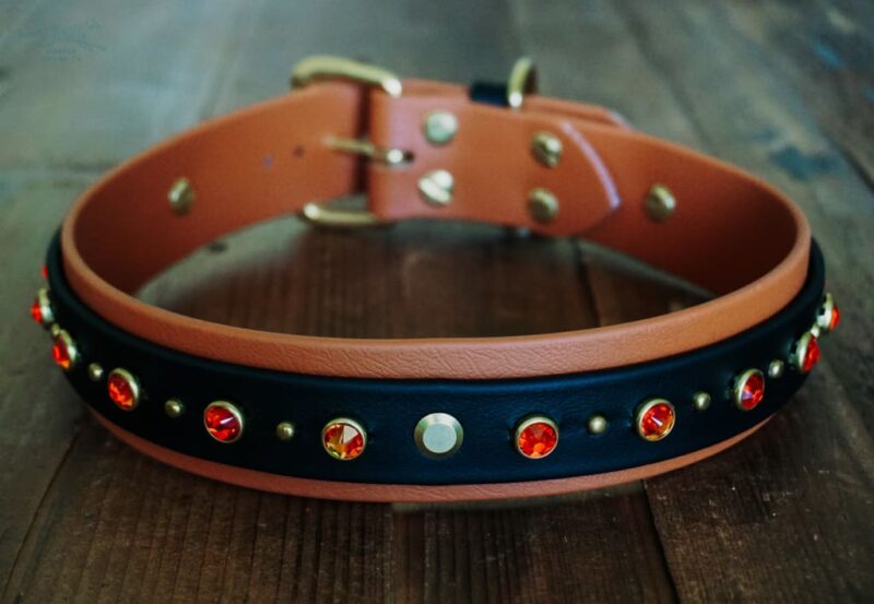 TOFINO 1.5" Crystal Studded Buckle Collar - Image 9