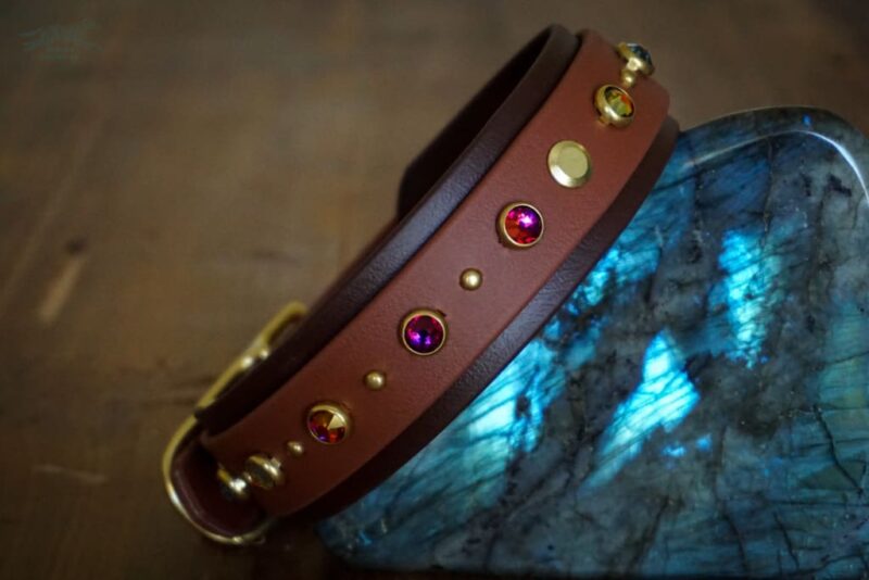 TOFINO 1.5" Crystal Studded Buckle Collar - Image 5