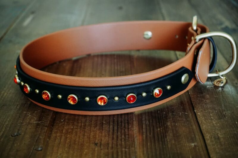 TOFINO 1.5" Crystal Studded Buckle Collar - Image 10