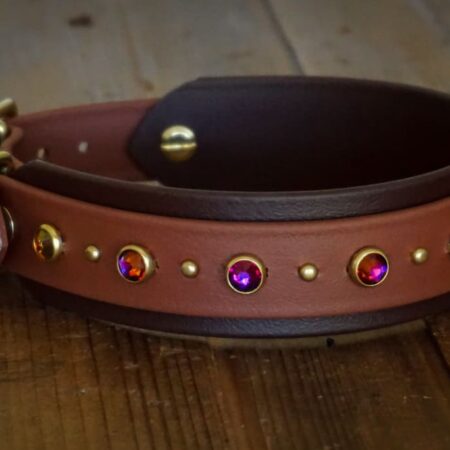 TOFINO 1.5" Crystal Studded Buckle Collar