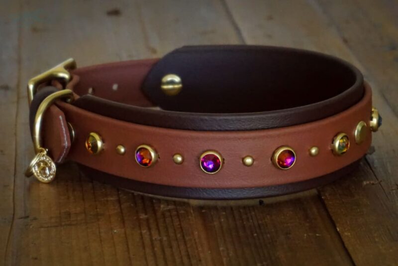 TOFINO 1.5" Crystal Studded Buckle Collar