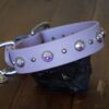 TOFINO 1" Crystal Studded Buckle Collar - Image 5