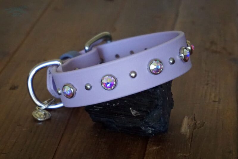 TOFINO 1" Crystal Studded Buckle Collar - Image 5