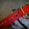 TOFINO 1" Crystal Studded Buckle Collar - Image 2