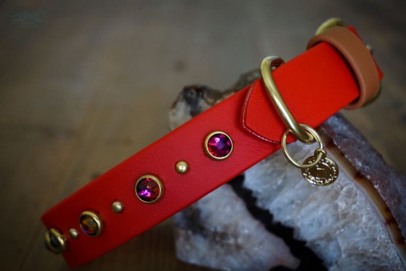 TOFINO 1" Crystal Studded Buckle Collar - Image 2