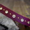 TOFINO 1" Crystal Studded Buckle Collar - Image 4
