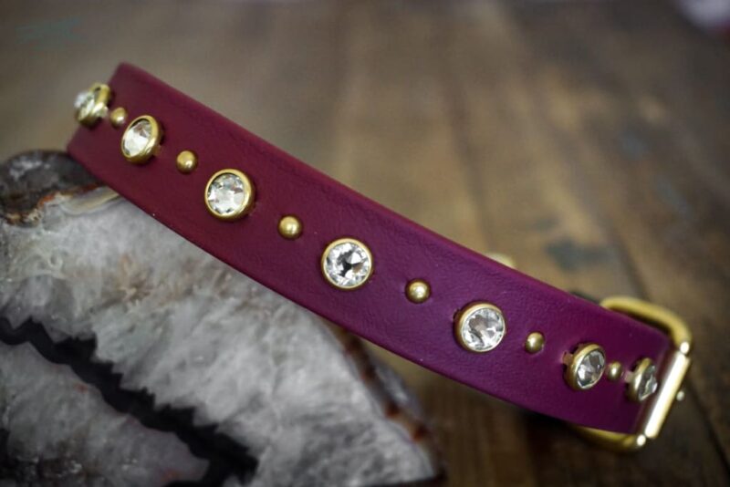 TOFINO 1" Crystal Studded Buckle Collar - Image 4