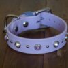TOFINO 1" Crystal Studded Buckle Collar - Image 6