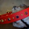 TOFINO 1" Crystal Studded Buckle Collar