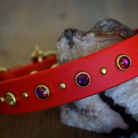 TOFINO 1" Crystal Studded Buckle Collar