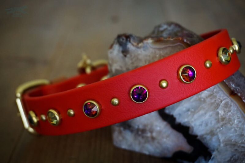 TOFINO 1" Crystal Studded Buckle Collar