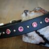 TOFINO 1" Crystal Studded Buckle Collar - Image 3