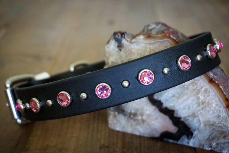 TOFINO 1" Crystal Studded Buckle Collar - Image 3