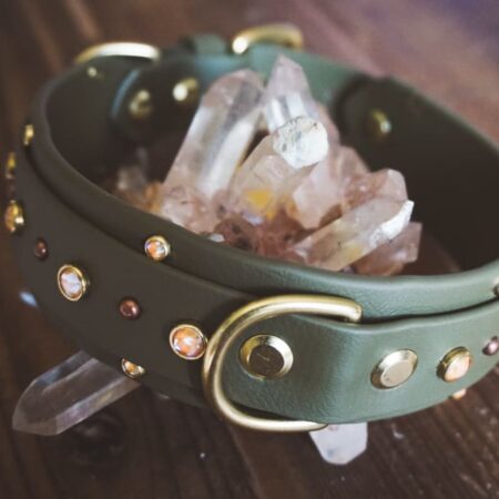 ZHENA 1.5" Crystal Studded Buckle Collar