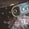 ZHENA 1.5" Crystal Studded Buckle Collar - Image 5