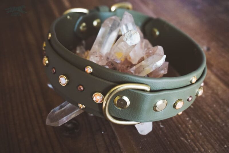 ZHENA 1.5" Crystal Studded Buckle Collar - Image 3