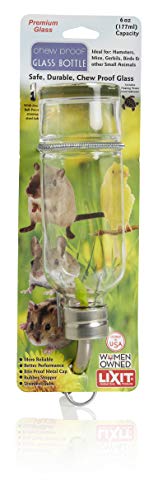 Lixit Chew Proof Glass Bottle - 6 oz
