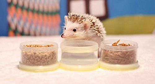 Super Pet Water Bottle Holder - 4-8 oz